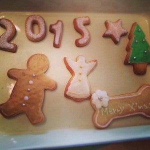 来年の習い事はこれに決まり 女子力アップの習い事 シティリビングweb