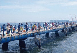 初心者も気軽に楽しめる 本牧海釣り施設 シティリビングweb