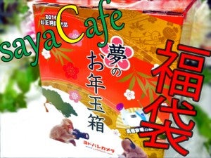 福袋】噂のヨドバシカメラ！夢のお年玉箱2016の中身は…！ネタバレ｜シティリビングWeb