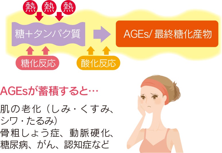 糖化が進めば老化も進む 〝ＡＧＥｓ〞をためない生活を｜シティリビングWeb