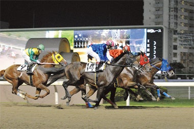 シティ読者特典付き】夏のナイター競馬で 迫力あるレースを体感