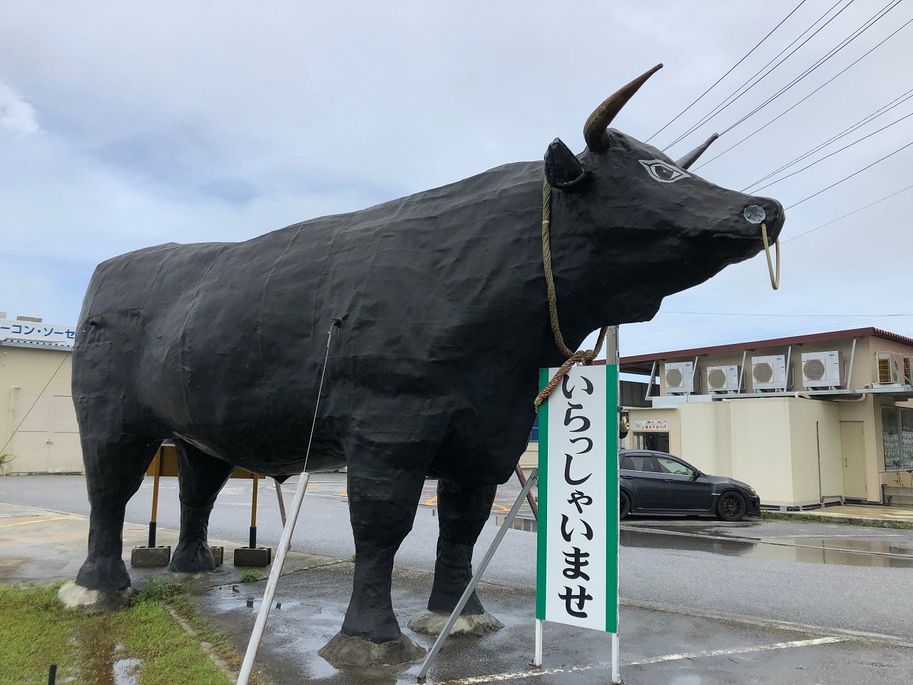 巨大な牛が目印。サトウキビから黒糖が作られるまで*沖縄黒糖***｜シティリビングWeb