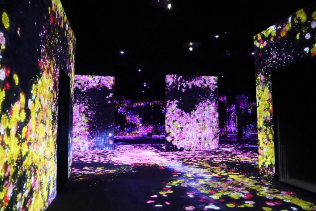 お台場 チームラボボーダレス 映えスポットbest5 シティリビングweb