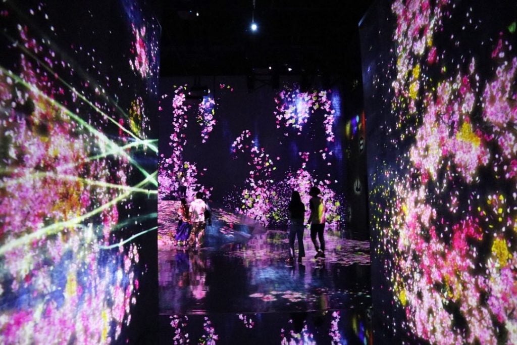 お台場 チームラボボーダレス 映えスポットbest5 シティリビングweb