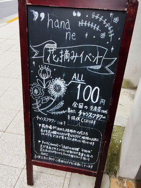 300円で花摘み放題 花のサブスク始めてみた シティリビングweb