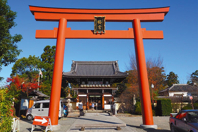 上達祈願のパワースポット シティリビングweb