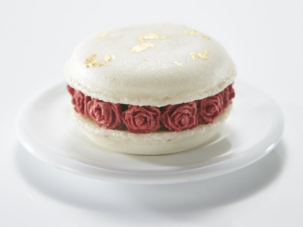 かわいすぎる ベイユヴェール のマカロンはオンラインでも購入可能 シティリビングweb