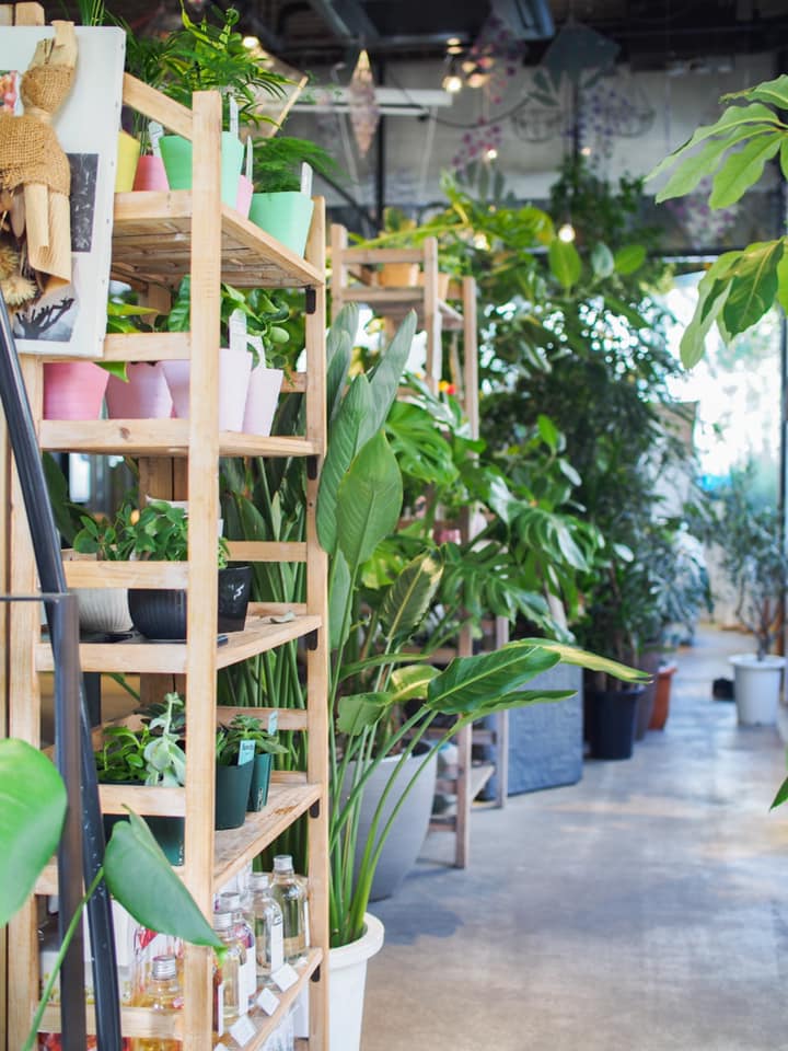 北参道 見た目鮮やか お花屋さんで絶品ごはん シティリビングweb 北参道 見た目鮮やか お花屋さんで絶品ごはん シティリビングweb