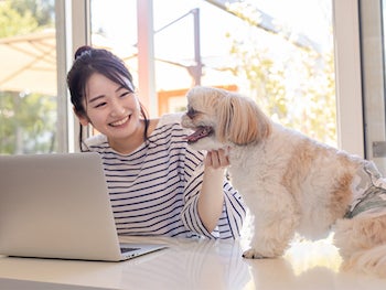 コレクション ペット飼ってる女性