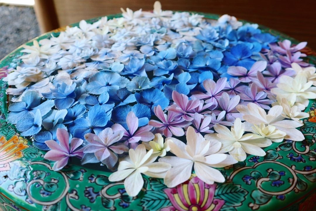 鎌倉であじさいの 花手水 めぐり 一条恵観山荘 鶴岡八幡宮 シティリビングweb