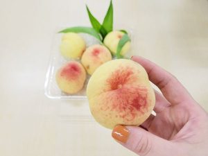 月桃 momo06-300x225.jpg