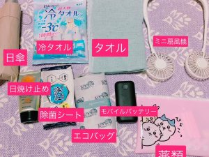 21夏 最新ディズニー持ち物リスト シティリビングweb