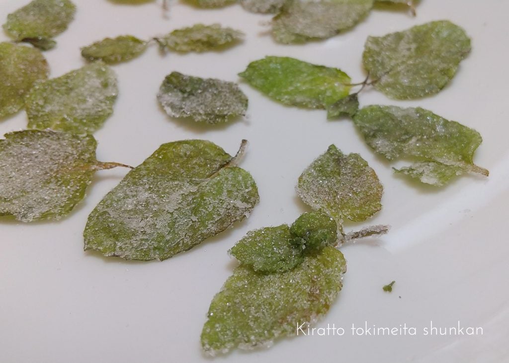 おうちカフェ 目が覚める 粉雪のようなミントの砂糖漬け シティリビングweb