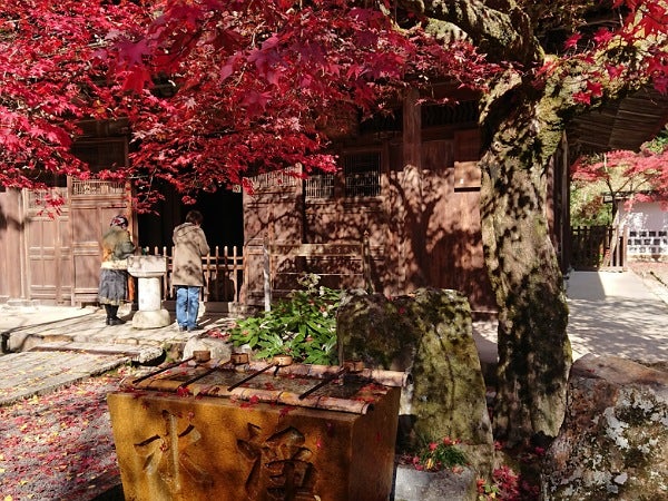 愛知県瀬戸市の穴場紅葉スポット 定光寺 シティリビングweb