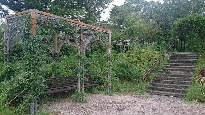 飯能 メディカルハーブでバランスのとれた健康美を体感できる 生活の木 薬香草園 シティリビングweb