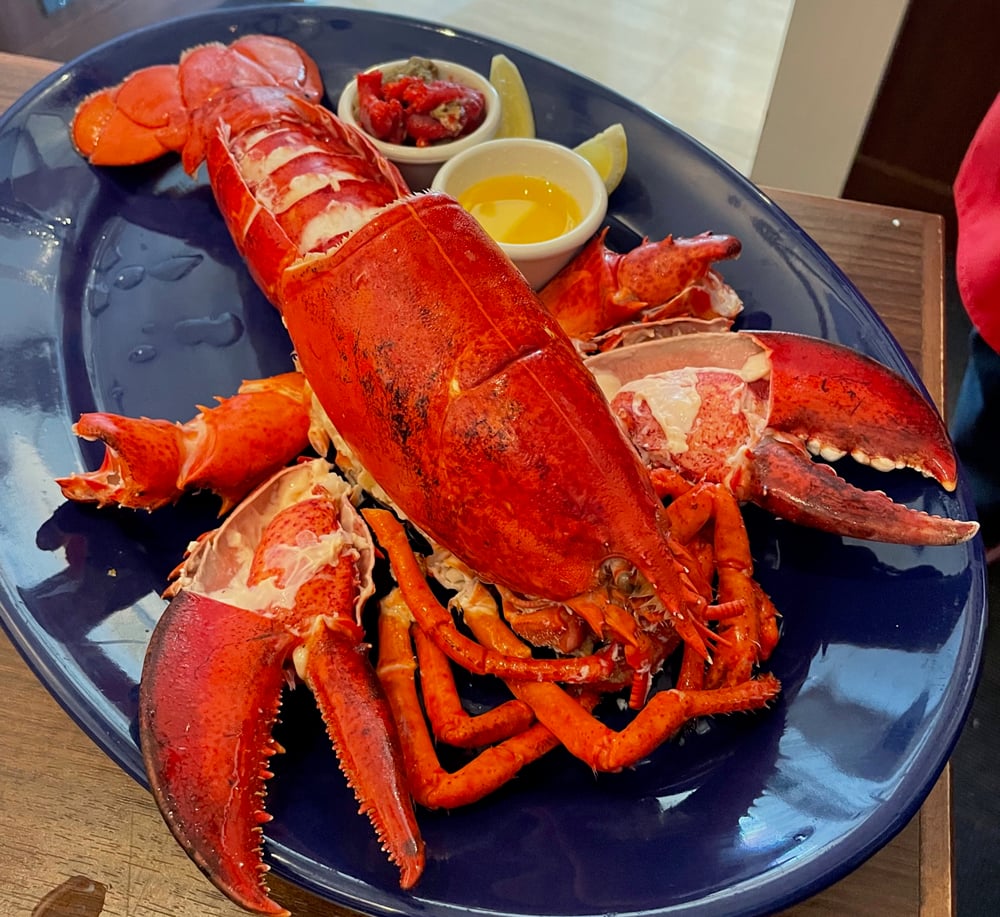 シーフード料理で世界旅行気分 レッドロブスター の試食会に行ってきました シティリビングweb