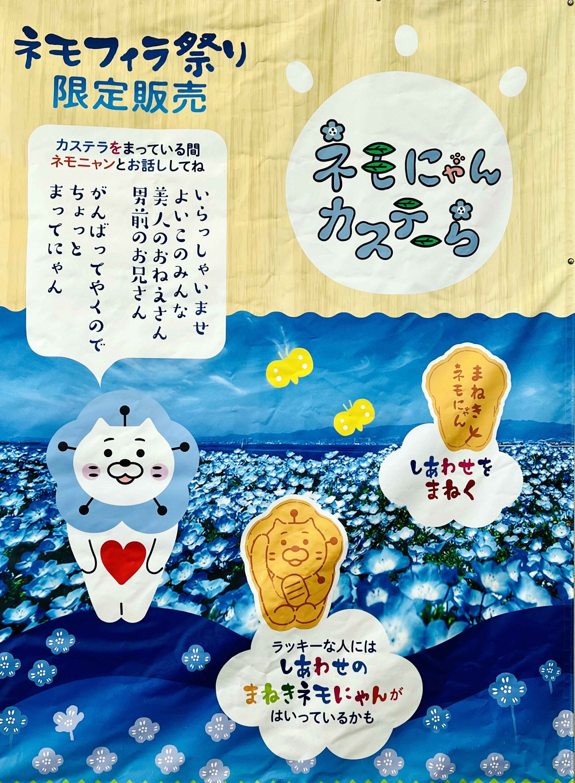 大阪まいしまシーサイドパーク】絶景！空×海×ネモフィラの融合｜シティ