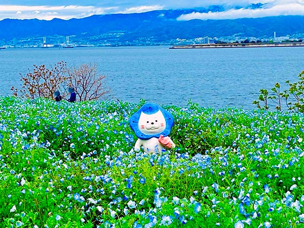 みときち　ネモフィラとうさぎ　シーグラス／天然石／花／ブルー みときち様専用 ネモフィラとうさぎ シーグラス／天然石／花／ブルー