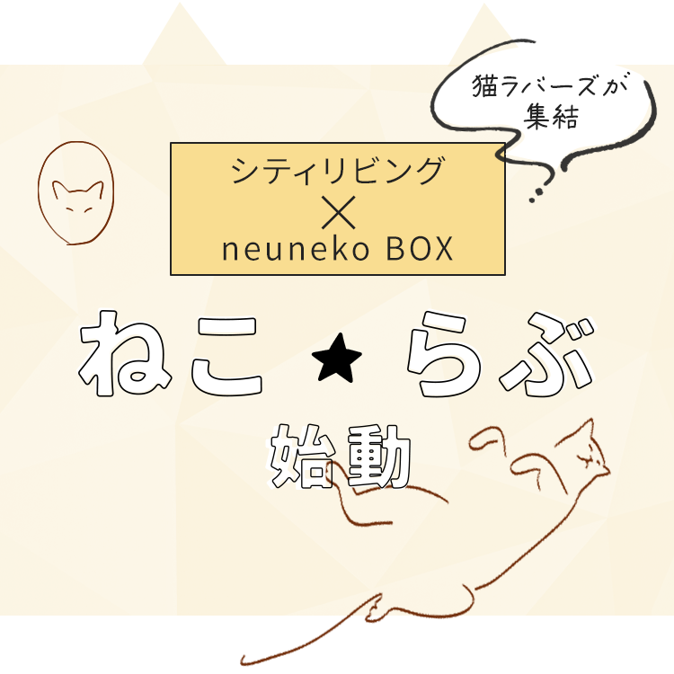 猫ラバーズの声から生まれた新「neuneko BOX」を手に入れよう