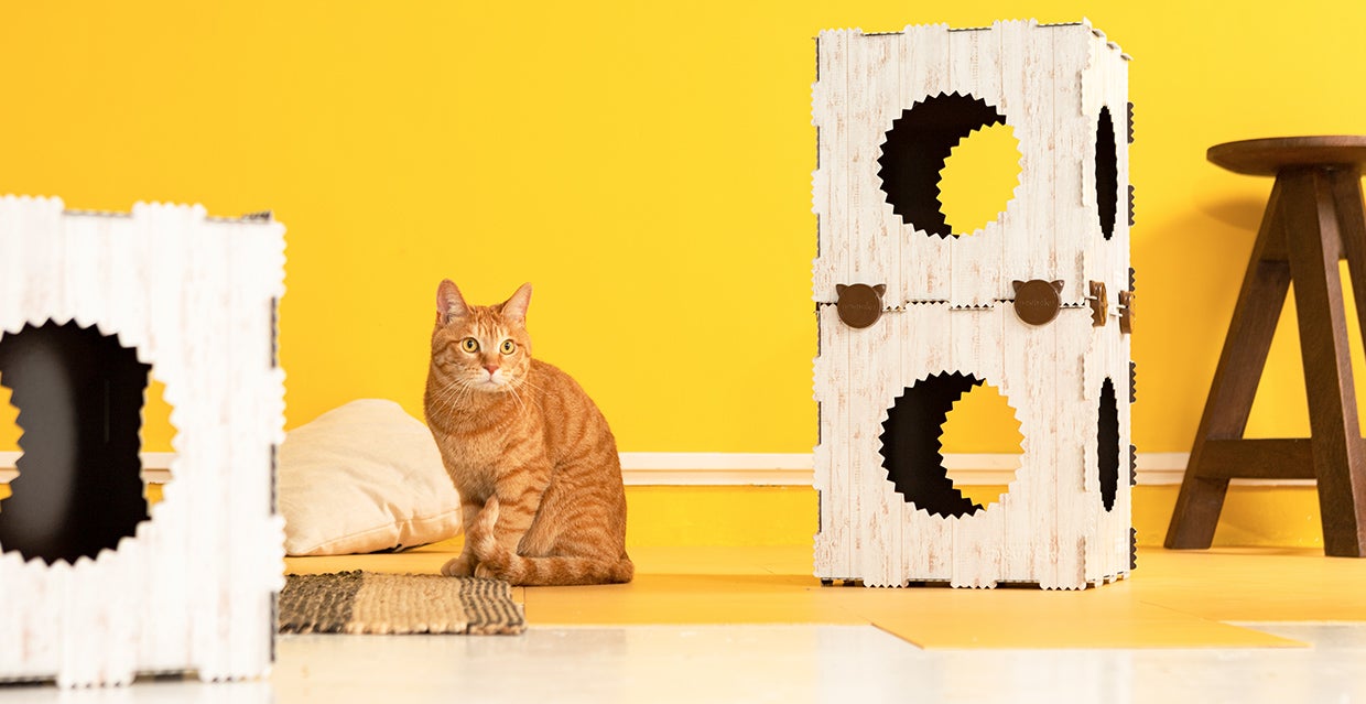 猫ラバーズの声から生まれた新「neuneko BOX」を手に入れよう