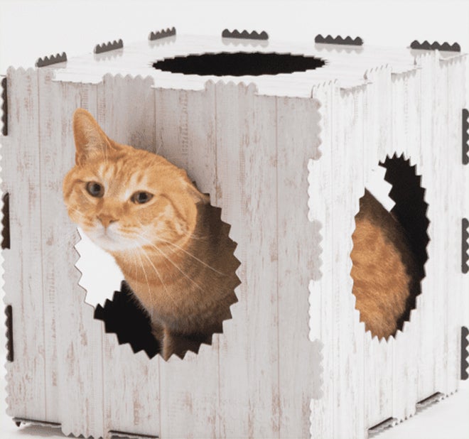 猫ラバーズの声から生まれた新「neuneko BOX」を手に入れよう