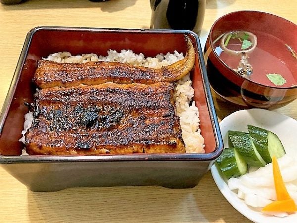 大船】庶民派鰻専門店「うな菊」コスパ良し味良しでおいしく三河産