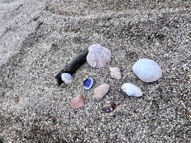 兵庫・須磨】海で泳がなくても楽しめる♪須磨海岸での過ごし方｜シティ 