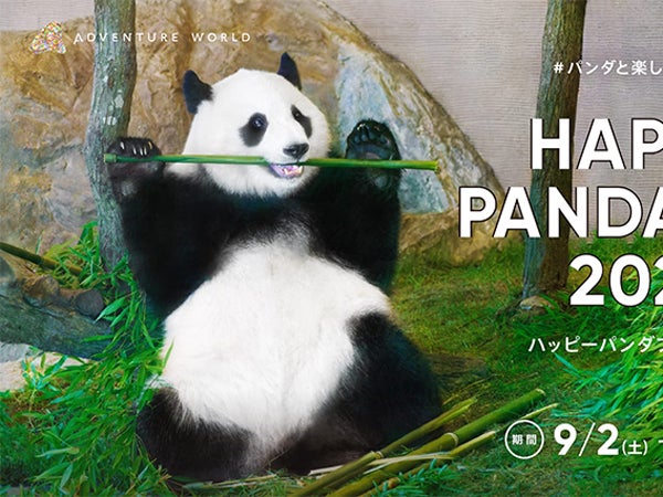秋はパンダの季節！ 「HAPPY PANDA FES 2023」で永明さんの近況も