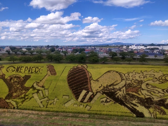 青森・田舎館】稲でこんなに繊細な絵が描けるなんて！田んぼアートを見