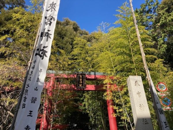 パワースポット】熱海 來宮（きのみや）神社 ご神木「大楠」樹齢