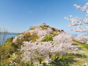 日本遺産「絶景の宝庫 和歌の浦」へ1Dayトリップ｜シティリビングWeb