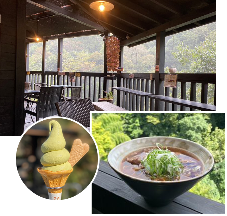 宮崎へデトックストリップ！神々のパワーが宿る「高千穂」へ｜シティ