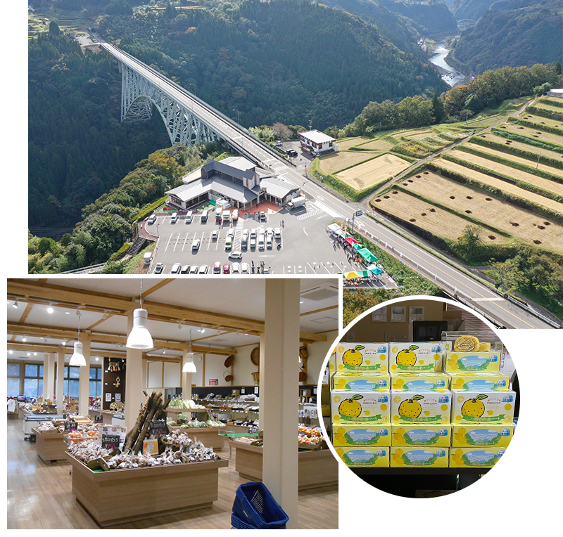 宮崎へデトックストリップ！神々のパワーが宿る「高千穂」へ｜シティ