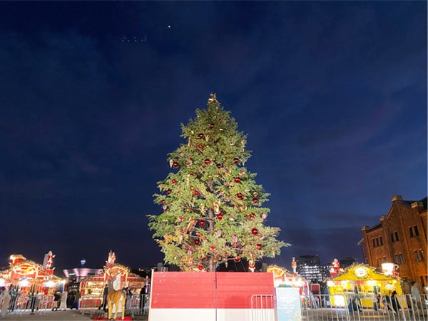 InIn　クリスマスツリー マディソンスクエアパークの豪華クリスマスツリーと