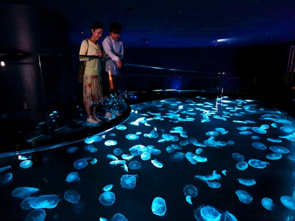 失恋、破局、年の差…すみだ水族館の「ペンギン相関図2025」がハマる