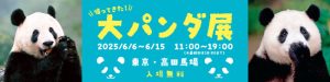 1563505prtimesd59003-47-