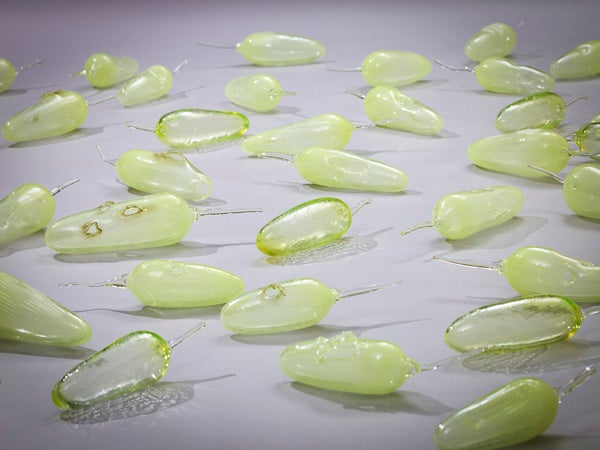 今どきのアート】「彼女たちのアボリジナル・アート オーストラリア