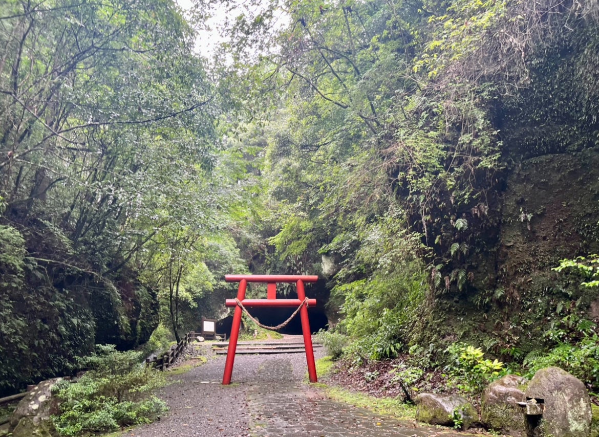 鳥居が見えてきました