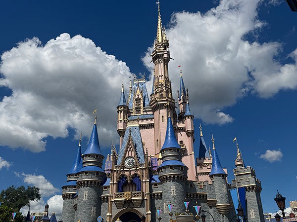 3日半で夢の国を満喫！WDW（ウォルトディズニーワールド）初心者が全力