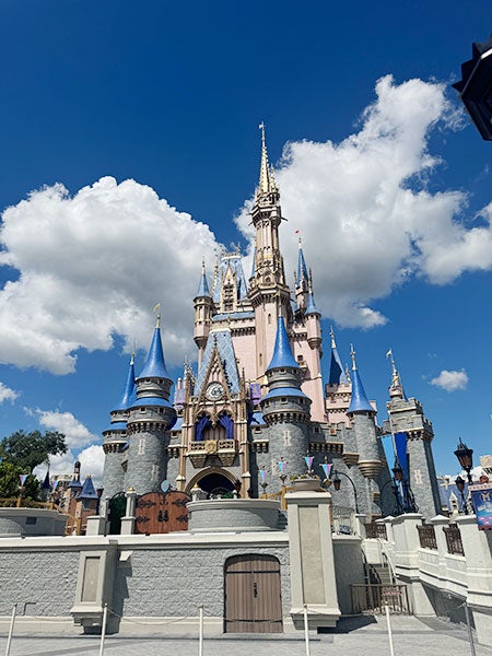 3日半で夢の国を満喫！WDW（ウォルトディズニーワールド）初心者が全力