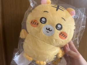 955_1759912725-rotated-