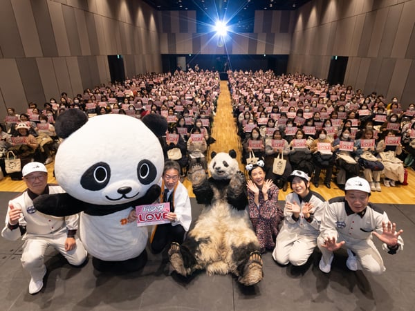 260225_pandadenighit_eye.jpg