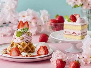 自分へのご褒美にもギフトにも♪ 春限定の桜スイーツ＆ドリンクまとめ