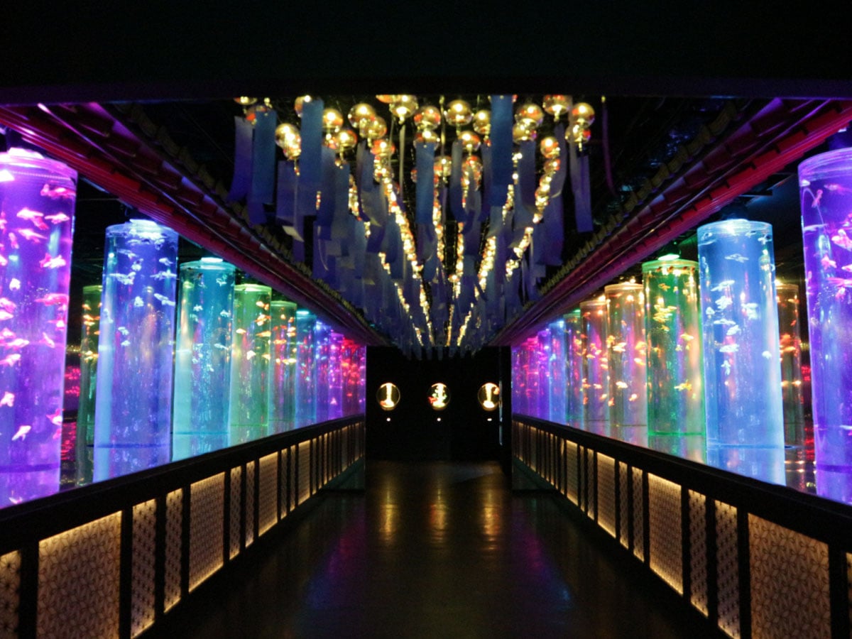 銀座】幻想的な金魚アートに涼を感じる！ 期間限定「夏のアート